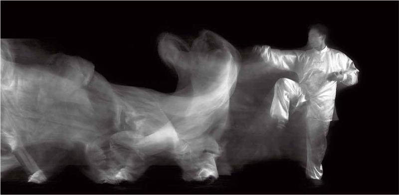 太极三部曲I·太极拳