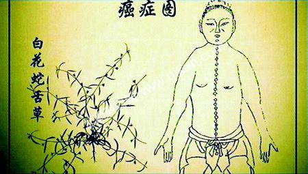 中医之源——解读中医（一）
