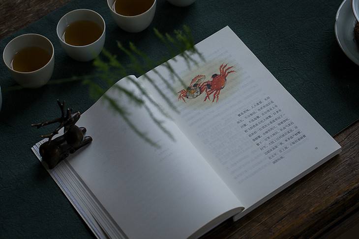 生活随笔：如何读书