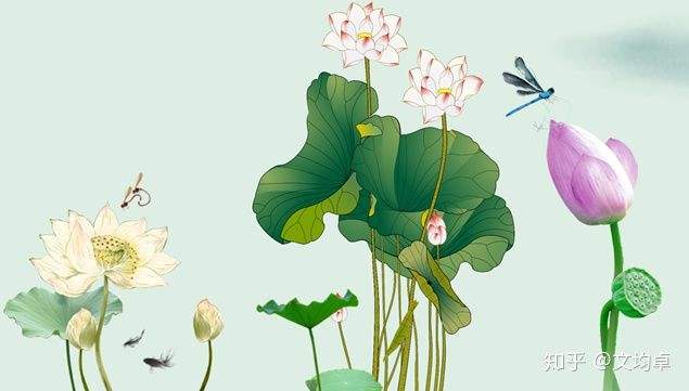 小说节选：大师的技术